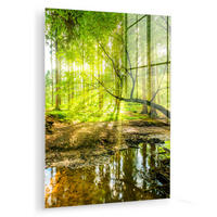 ACRYLGLASBILD Wald - Landschaft - Wasser - Bäume - Sonne - Grün - Natur 60x80 cm - Grün, Glas (60/80cm) - MuchoWow