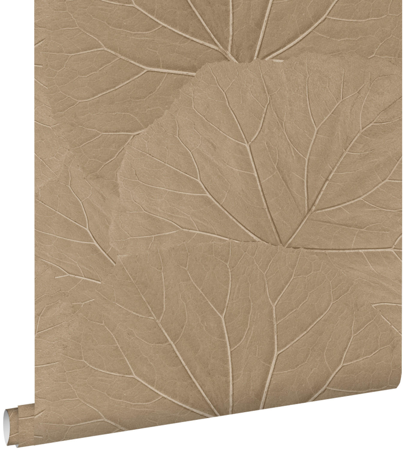TAPETE Blätter 53 cm x 10.05 m - Beige, Papier (53/1000cm) - ESTAhome