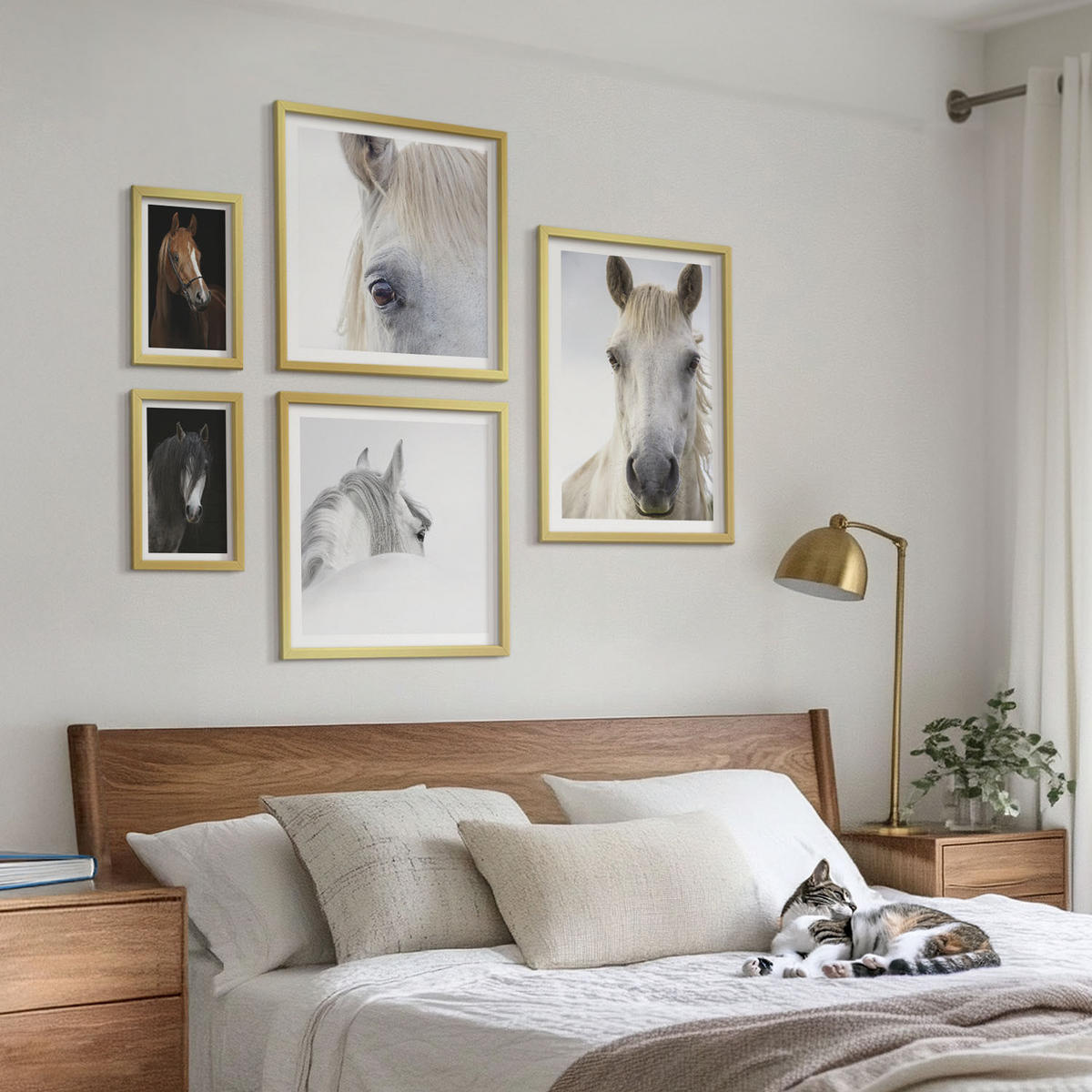 BILDER SET 5er Set - 50x50 cm & 20x30 cm & 40x60 cm Goldrahmen - Pferdeporträts in Schattierungen - Goldfarben, Kunststoff (40/60cm) - TULUP