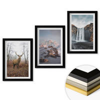 WANDBILDER 3er-Set - 20x30 cm Schwarzer Rahmen - Wilde Berglandschaften - Schwarz, Kunststoff (20/30cm) - ArtPrintCave