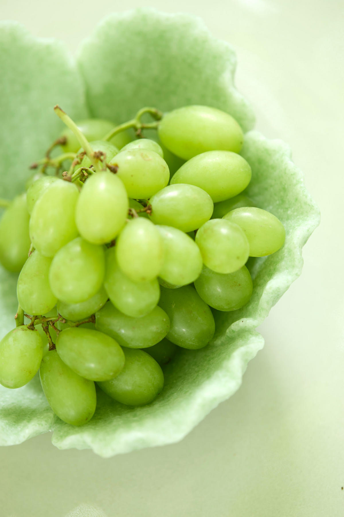 SCHALE Freesia Grün Ø20,5/7,5 cm - Grün, Kunststoff (7.5cm) - Light & Living