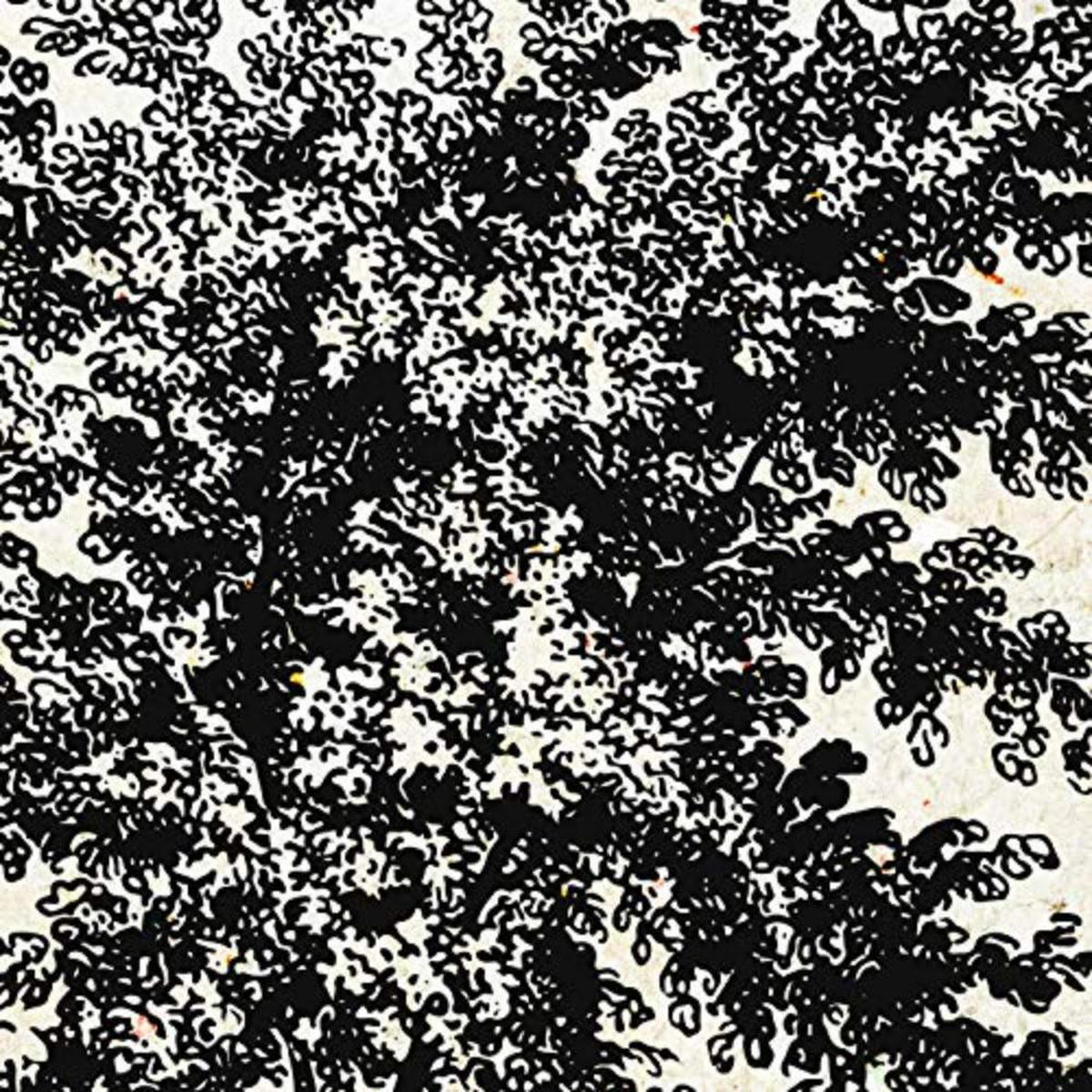 POSTER Set mit 4 Blättern der Laubbäume Jahrgang Hintergrund 30x30 cm Rahmenlos - Klar, Papier (30/3cm) - Nacnic