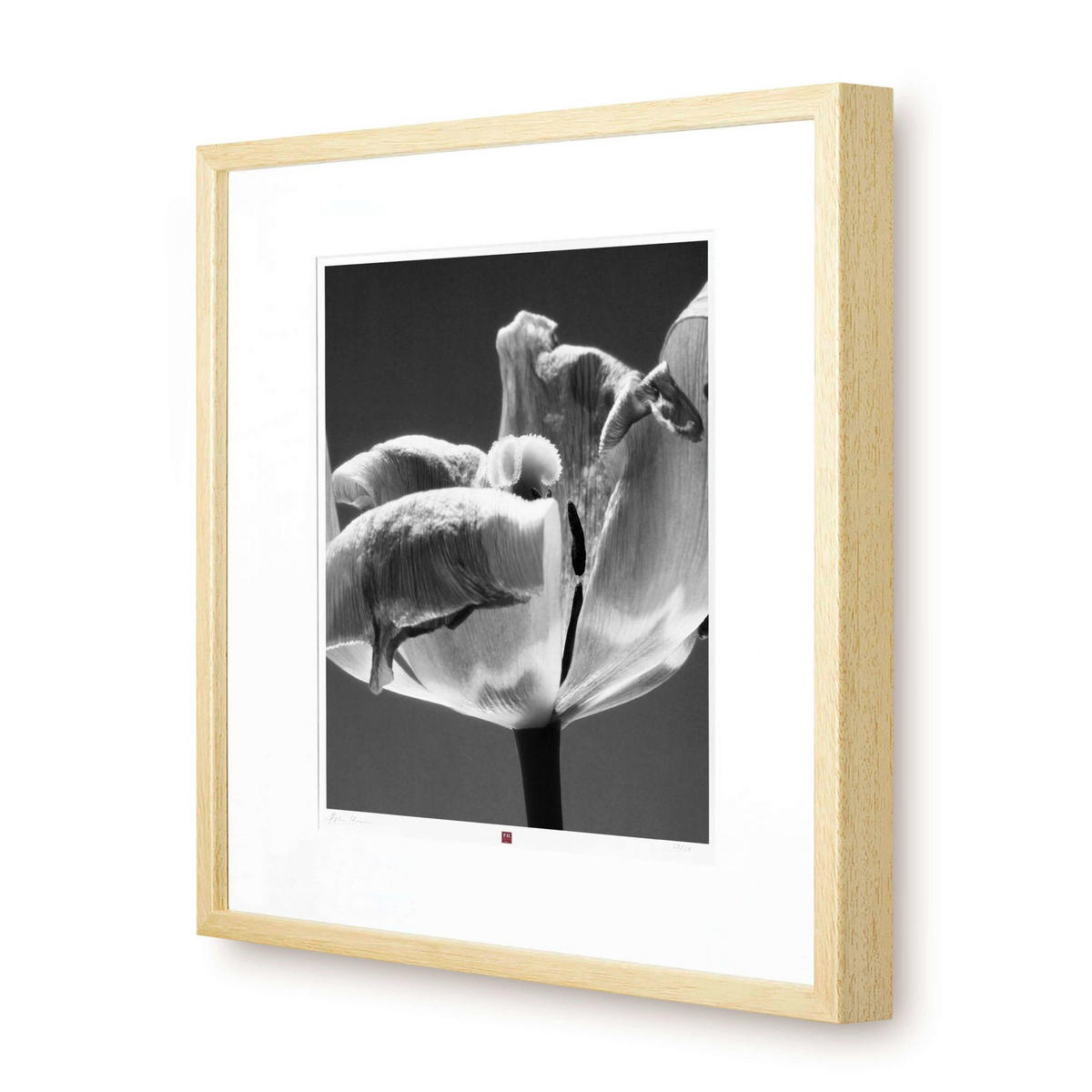 KUNSTDRUCK Schwarz-Weiß 50/50 cm - Schwarz, Glas/Papier (2.4/50cm) - KUNSTLOFT