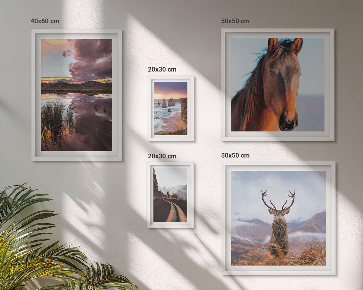WANDBILDER 5er-Set - 50x50 cm & 20x30 cm & 40x60 cm Weißer Rahmen - Berglandschaften, Rentiere, Pferdestraße - Weiß, Kunststoff (40/60cm) - ArtPrintCave