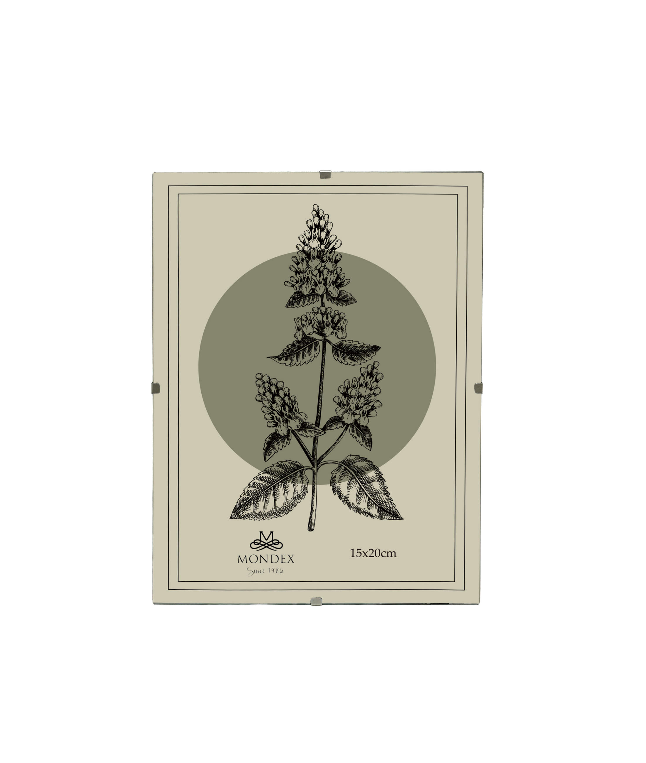 BILDERRAHMEN Adi Transparent 15x20x0.3 cm Kunststoff - Transparent, Kunststoff (0.3/20/15cm) - Mondex