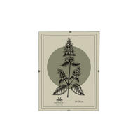 BILDERRAHMEN Adi Transparent 15x20x0.3 cm Kunststoff - Transparent, Kunststoff (0.3/20/15cm) - Mondex