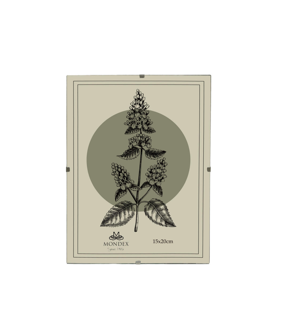 BILDERRAHMEN Adi Transparent 15x20x0.3 cm Kunststoff - Transparent, Kunststoff (0.3/20/15cm) - Mondex