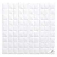 GANZJAHRESBETTDECKE QUEEN Entendaunen medium - Weiß, Naturmaterialien/Textil (240/220cm) - Daunenkönig