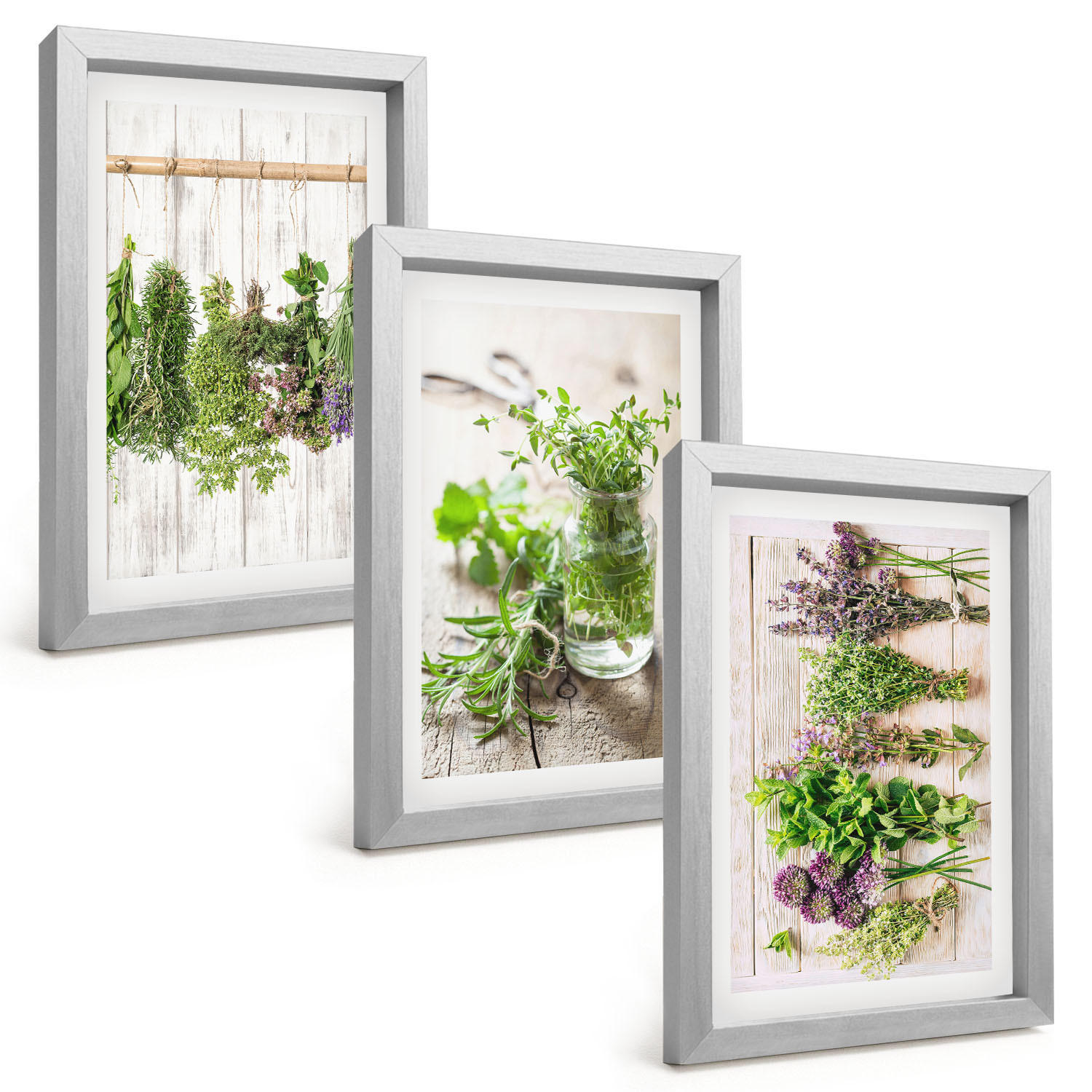BILDER SET 3er Set - 20x30 cm Silberner Rahmen - Kräuterpflanzen für die Küche - Silberfarben, Kunststoff (20/30cm) - TULUP