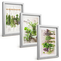 BILDER SET 3er Set - 20x30 cm Silberner Rahmen - Kräuterpflanzen für die Küche - Silberfarben, Kunststoff (20/30cm) - TULUP