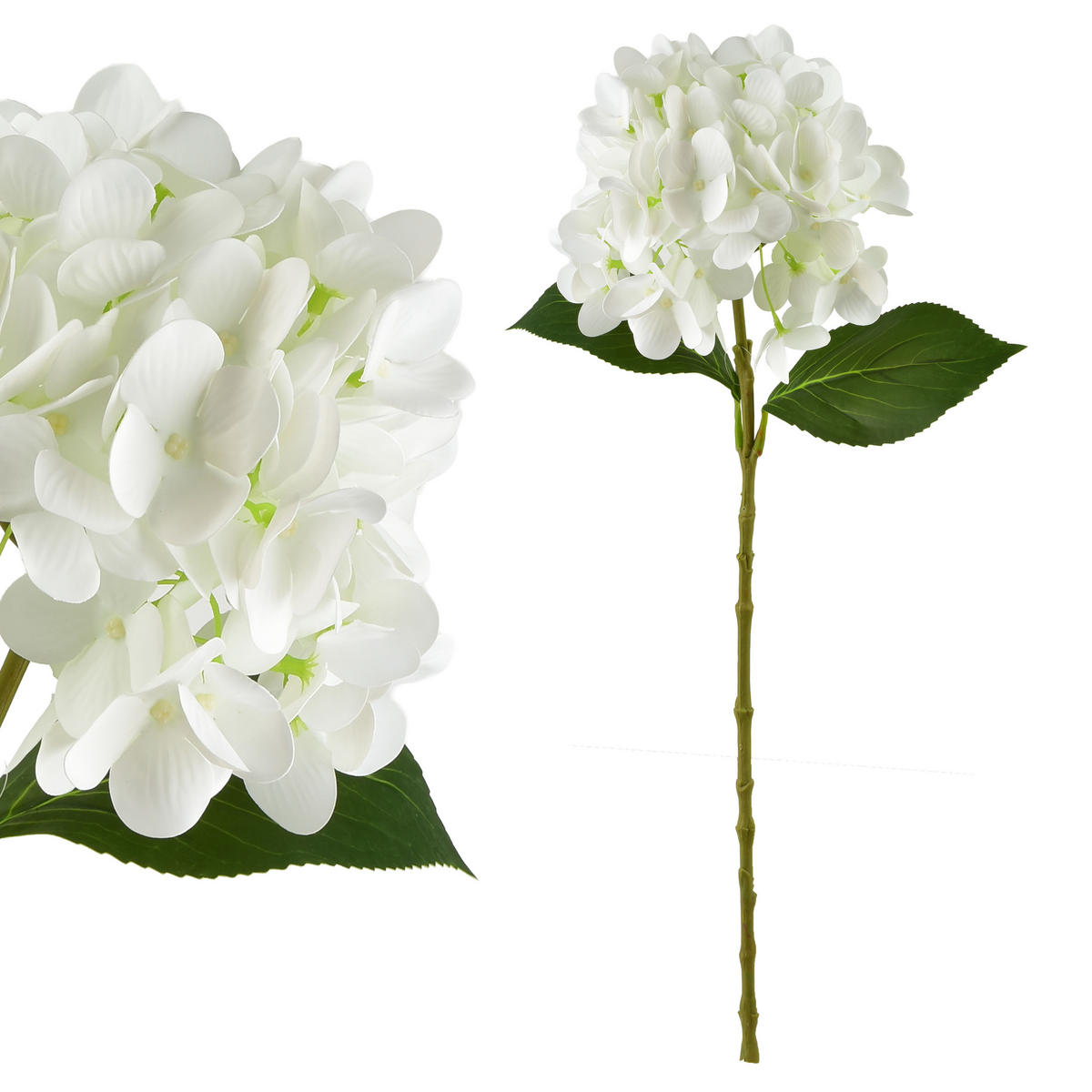 UMĚLÁ HORTENZIE Viridis, 60 cm, bílá - bílá, plast (60cm) - Mondex