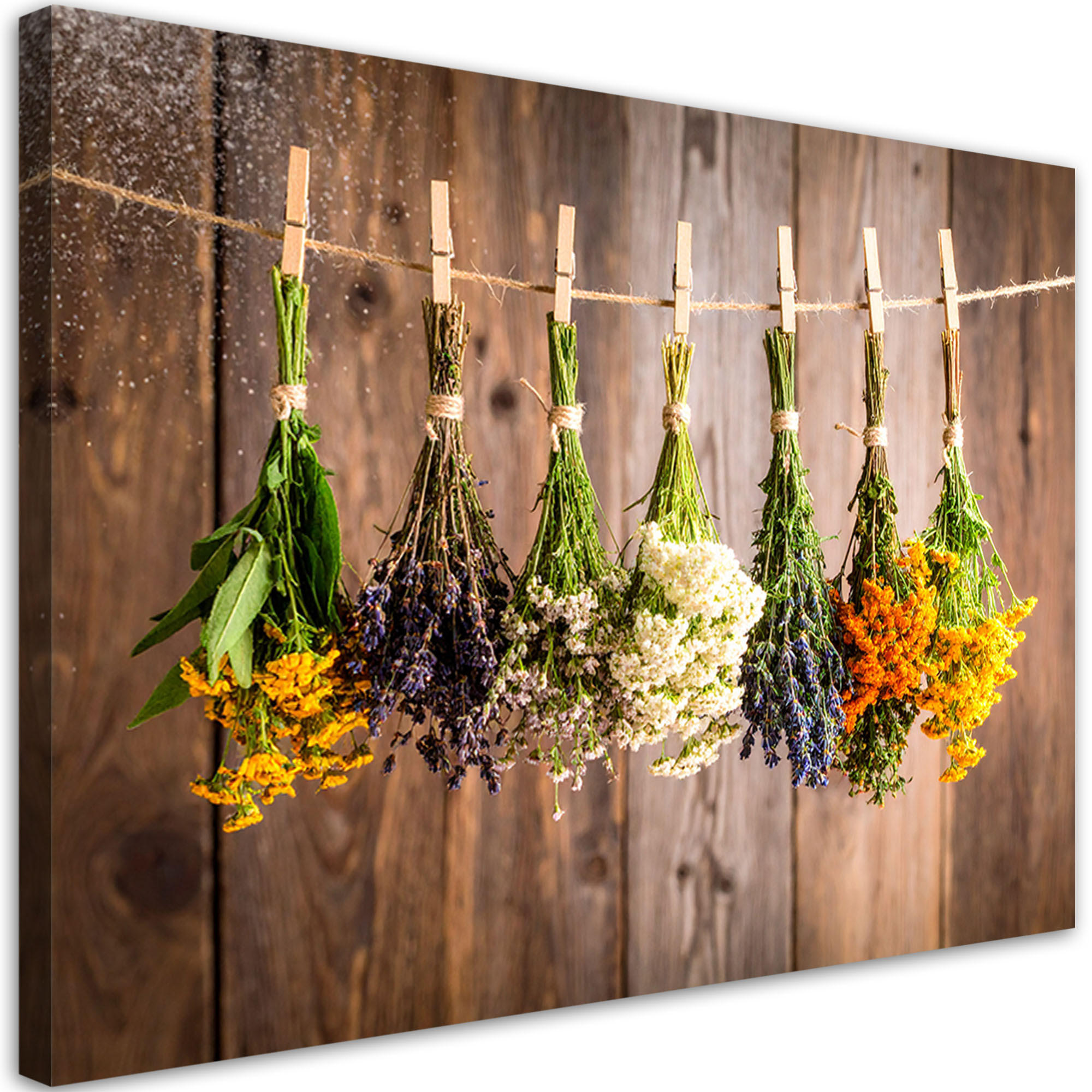 LEINWANDBILD Hängende getrocknete Kräuter Gewürze 120x80cm - Braun, Textil (120/80cm) - Feeby