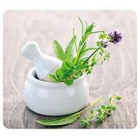 HERDABDECKPLATTE aus Glas – groß Herb Garden 56/50 cm - Multicolor, Glas (50/56cm) - Wenko