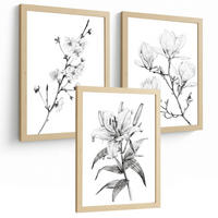 PLAKAT Sada 3 obrázků květin. Dekorativní nástěnné tisky Květiny tužkou. botanický plakát na zeď. Noridco květinové malby.Velikost A3 bez rámu - čirá, papír (29.7/42/3cm)