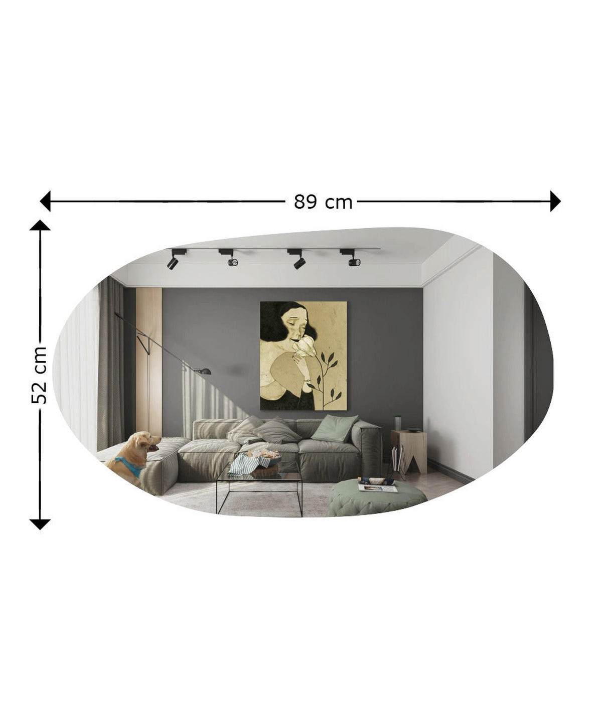 SPIEGEL Vanomi 52x89cm - Transparent, Holzwerkstoff (52/89/3.5cm) - moebel17