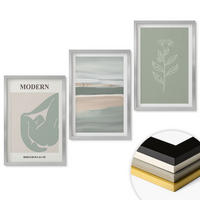 WANDBILDER 3er Set - 40x60 cm Silberner Rahmen - Abstrakte pastellfarbene Pflanzenformen - Silberfarben, Kunststoff (40/60cm) - ArtPrintCave