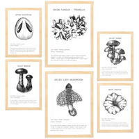 POSTER Set Mit 6 Pilzkomposition Arten & Details A3 & A4 Rahmen Aus Hellem Holz - Beige, Papier (29/3cm) - Nacnic
