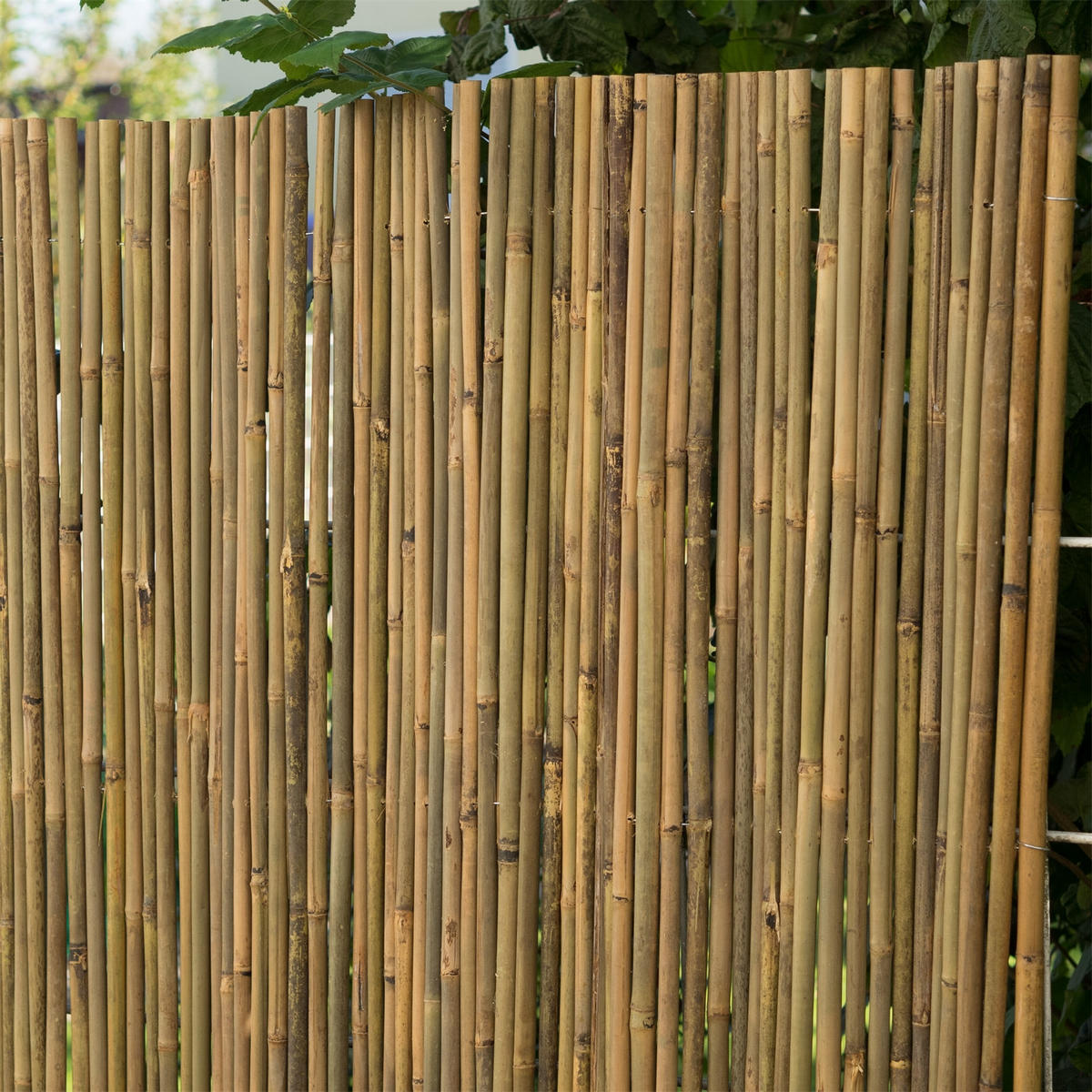 SICHTSCHUTZMATTE Lukata 150x250 cm, Bambus naturfarben - Naturfarben, Holz (250/150cm) - DESIGN DELIGHTS