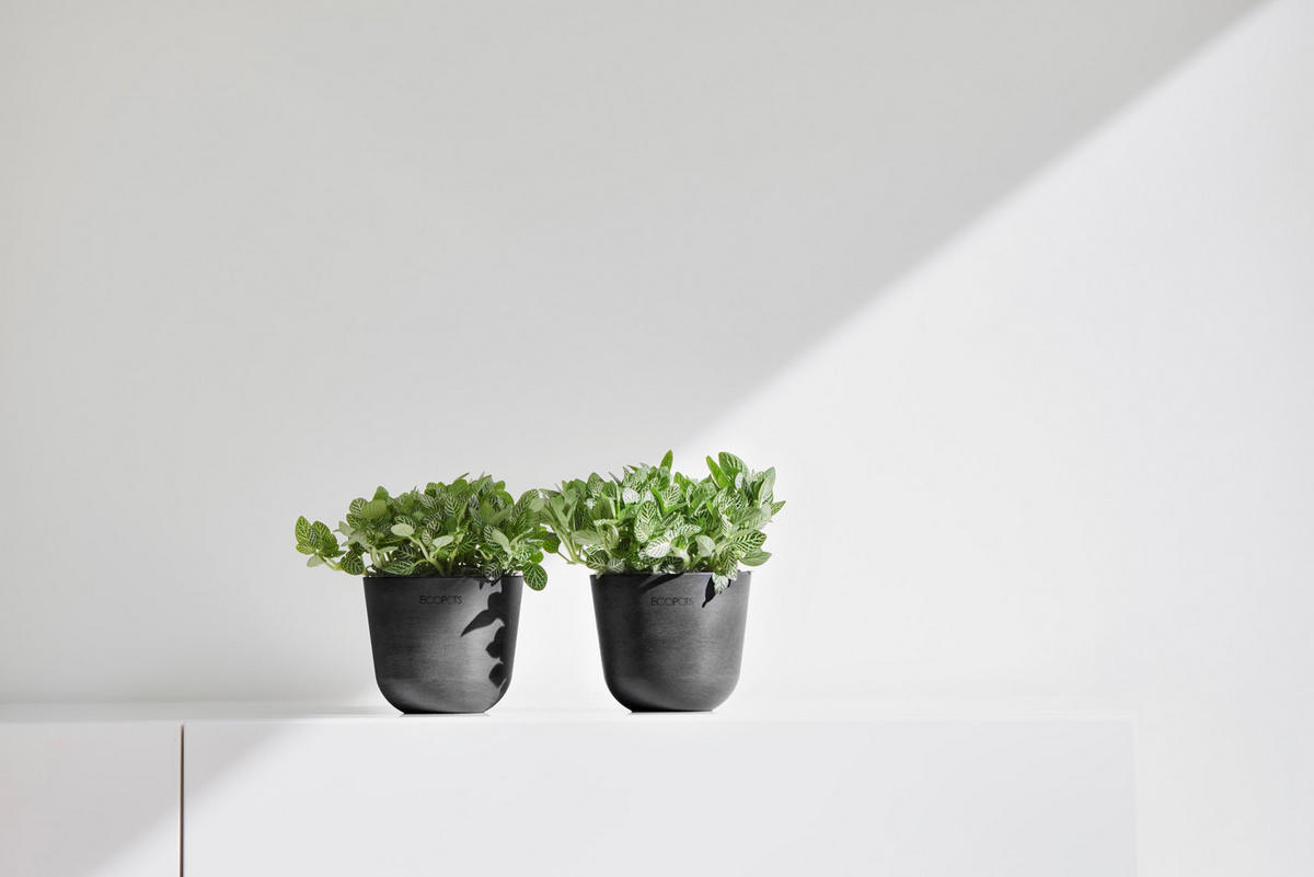 BLUMENTOPF Oslo Mini 11,4/9,5 cm Dunkelgrau - Dunkelgrau, Kunststoff (11.4/9.5cm) - Ecopots
