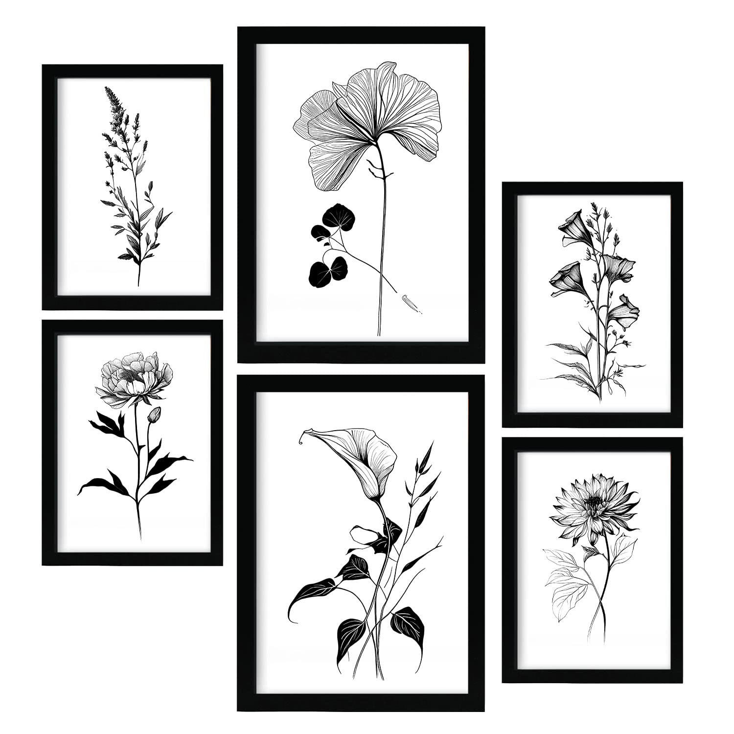 POSTER Set Mit 6 Belaubte Blumen Blumenmotiven In Klassischem Schwarz Und Weiß A3 & A4 Rahmenlos - Klar, Papier (29/3cm) - Nacnic