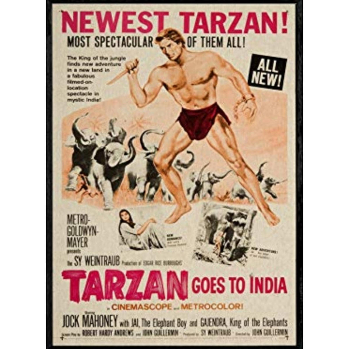 POSTER Filmtarzan Indien A4 Rahmenlos - Klar, Papier (29.7/5/21cm) - Nacnic
