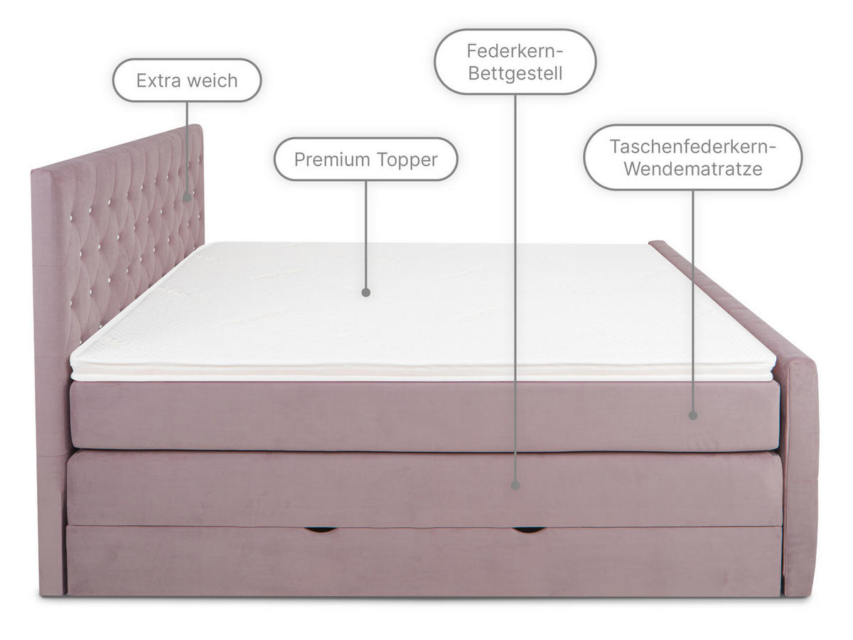 BOXSPRINGBETT Sira Rosa 160/200 cm H2/H3 Samt - Rosa, Textil (160/200cm) - wonello