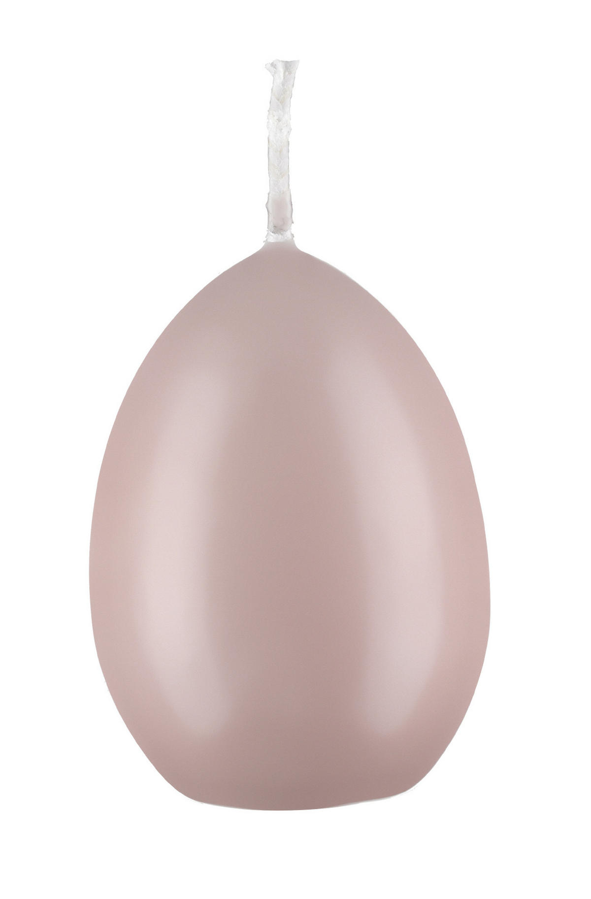 EIKERZEN Taupe Rose 120 x Ø 80 mm, 6 Stück - Taupe, Paraffin (8/12/12cm) - Kopschitz Kerzen