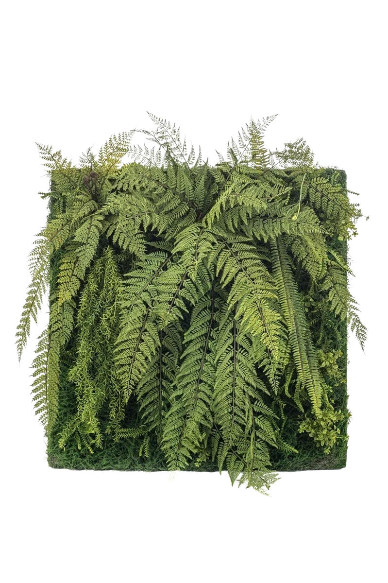 KUNSTPFLANZE Künstliche Pflanzenmatte - Milo 100 cm - Grün, Kunststoff (100cm) - Emerald