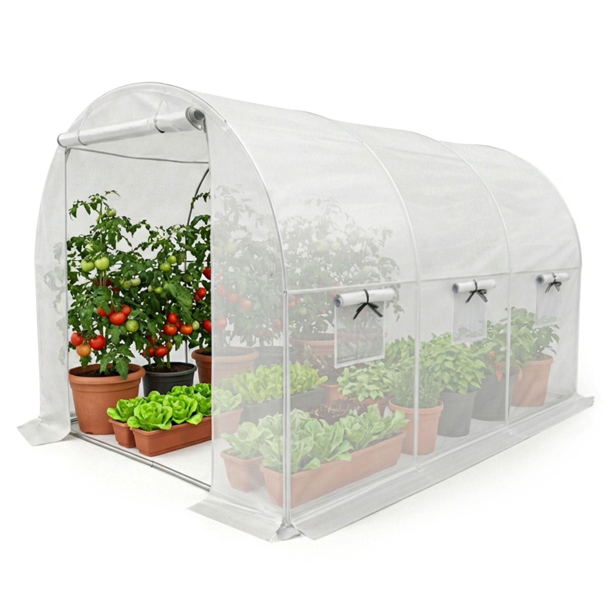 TUNNELGEWÄCHSHAUS, Weiß, 200x300x200 cm - Weiß, Metall (200/200/300cm) - Akord