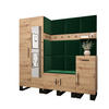 GARDEROBEN-SET 196/200/45,6 - Waldgrün/Schwarz, Holz/Kunststoff (200/196/45.6cm) - Abiks Möbel