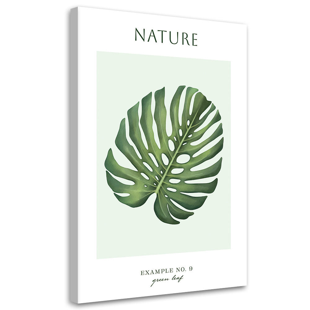 WANDBILD grünes blatt natur - Grün, Textil (40/60cm) - Feeby