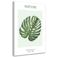 WANDBILD grünes blatt natur - Grün, Textil (40/60cm) - Feeby