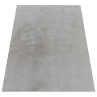 HOCHFLORTEPPICH 160/220 SOFT 380 - Grau, Kunststoff (160/220cm) - Paco Home