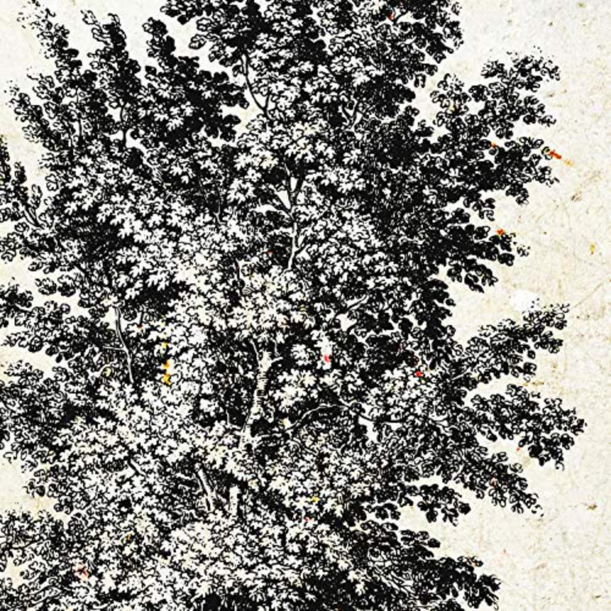 POSTER Set mit 4 Blättern der verschiedene Richtungen Jahrgang Hintergrund 30x30 cm Rahmenlos - Klar, Papier (30/3cm) - Nacnic