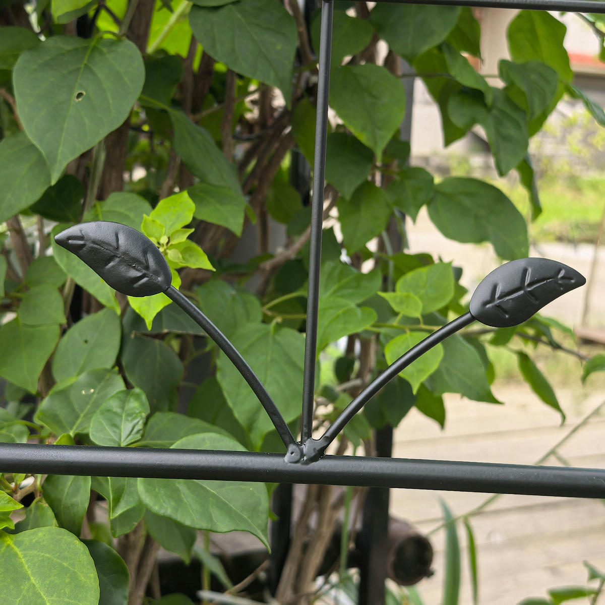 PFLANZGITTER 2er-Set aus Metall für Kletterpflanzen - Schwarz, Metall (50/180/9cm)