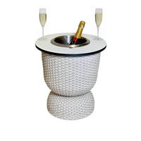 BEISTELLTISCH MIT EDELSTAHL-KÜHLER Paris Champagner 43 cm - Champagner, Kunststoff (41/41/43cm) - COOTAB Cooler Table