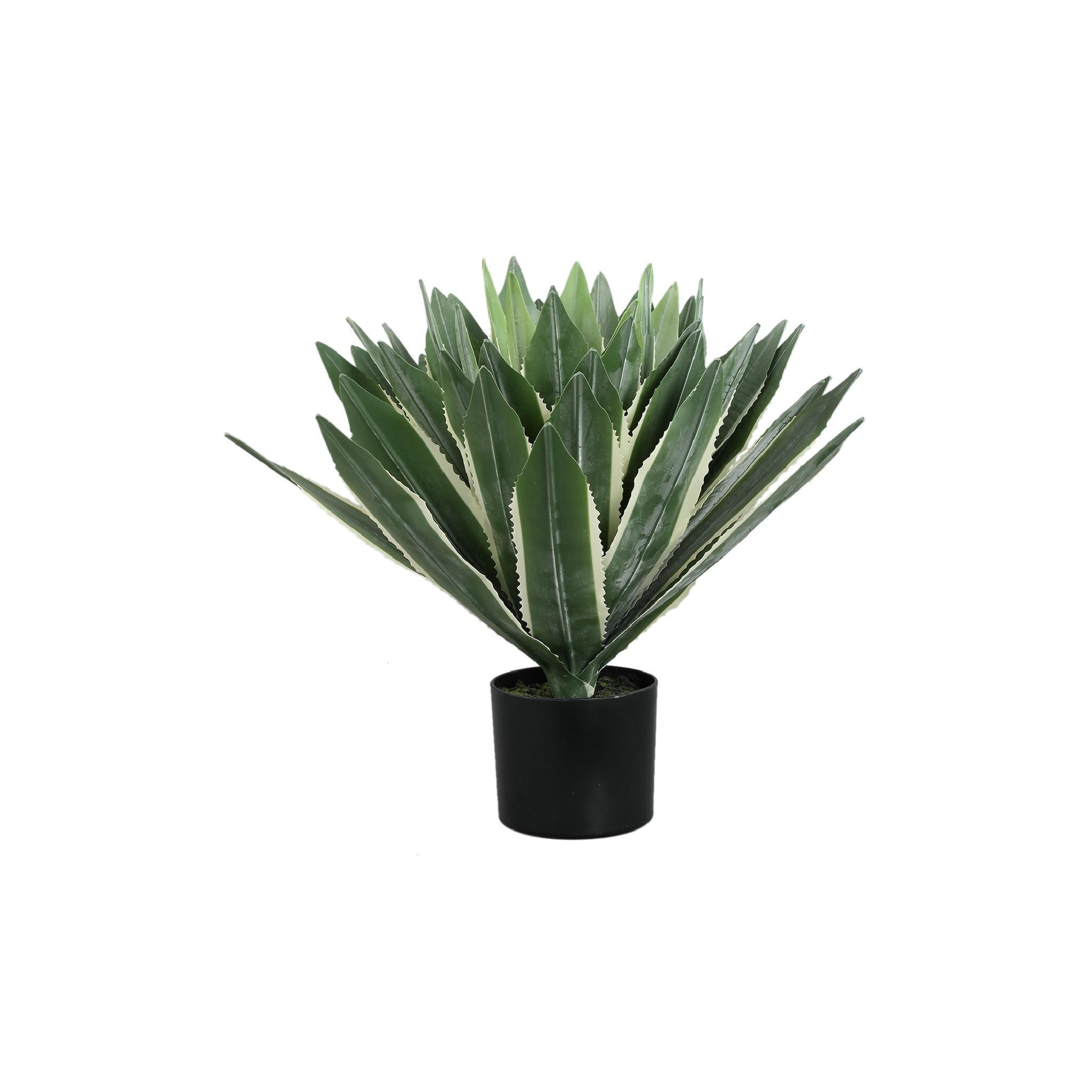 KUNSTPFLANZE Succulent Grün 70/70/50cm - Grün, Kunststoff (50cm) - PTMD Collection
