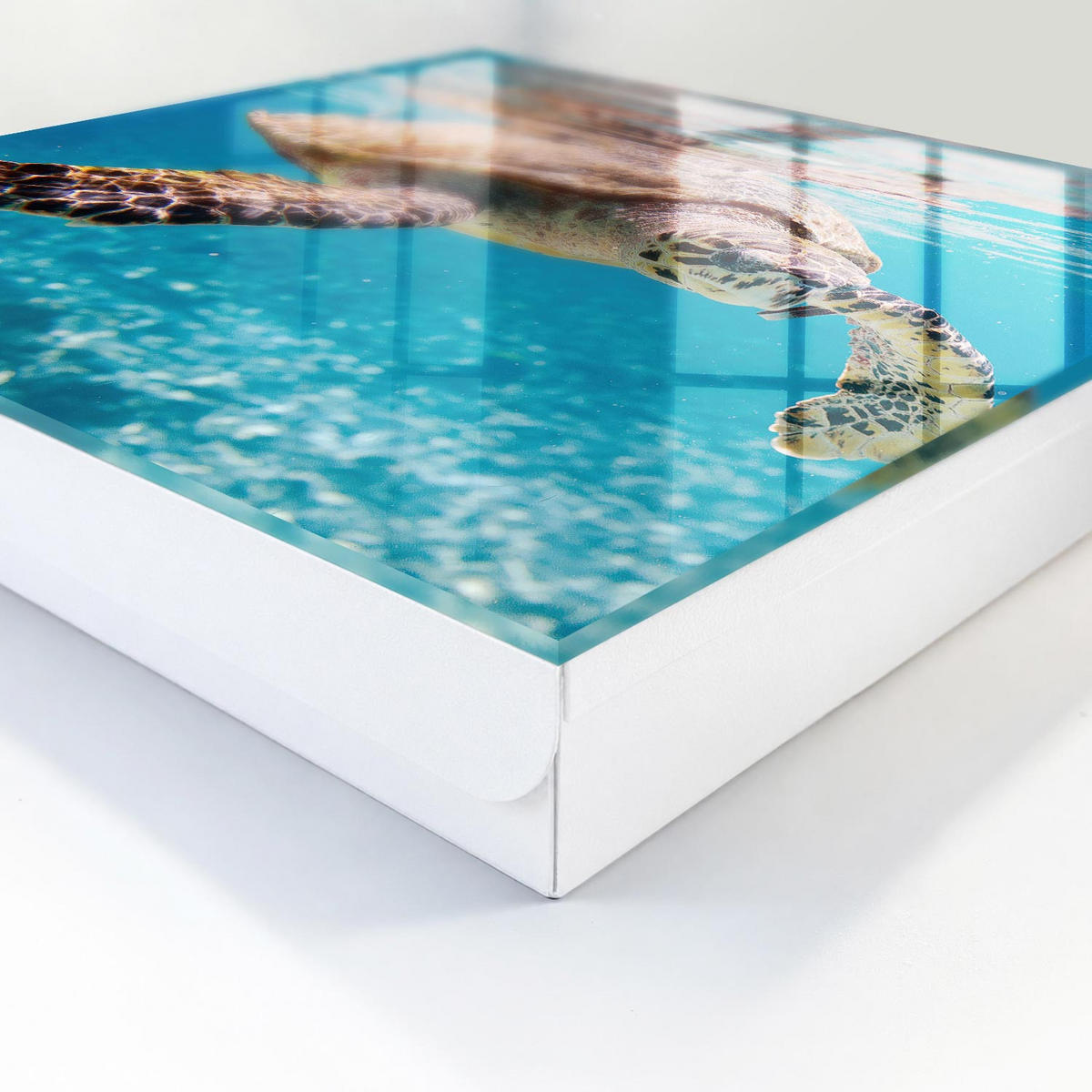 SCHLÜSSELBOX Weiß 30x30 cm – Türöffnung nach rechts - Unterwasserwelt - Blau, Metall (30/30/5cm) - TULUP