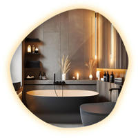 LED-SPIEGEL 47,9 x 48,3 cm Organisch Warmweiß 3000K - Gelb, Glas (47.9/48.3/0.4cm) - Wallfluent