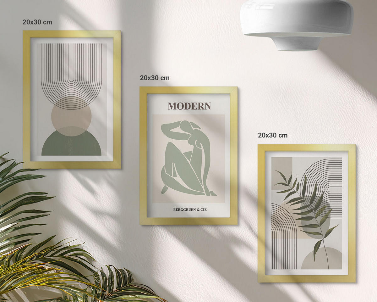 WANDBILDER 3er Set - 20x30 cm Goldrahmen - Stilvolle Pflanzengrafiken - Goldfarben, Kunststoff (20/30cm) - ArtPrintCave