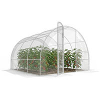 GEWÄCHSHAUS DE-12019 9 m² mit Scharniertür Grün - Transparent, Kunststoff (295/195/295cm) - ComfortXL