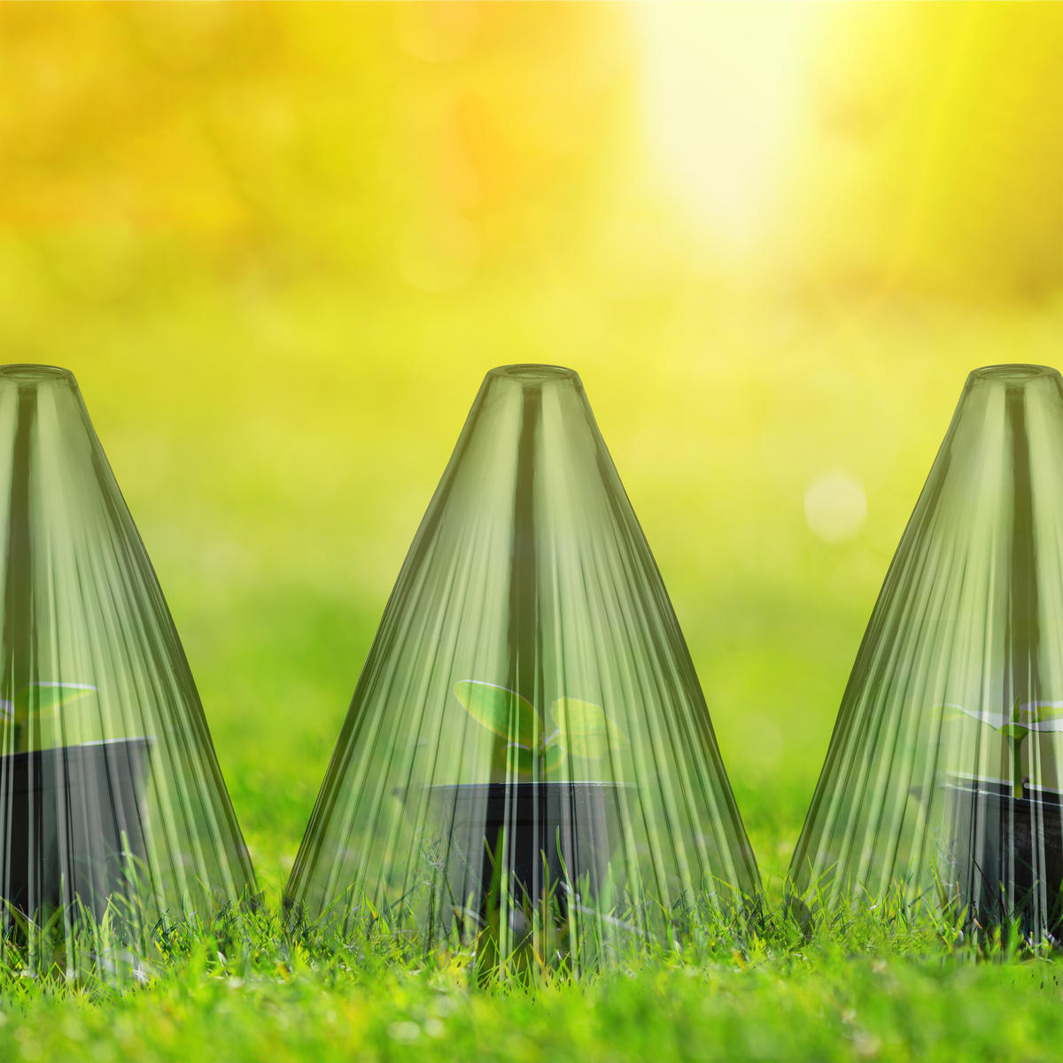 32XPFLANZENHUT - Grün, Kunststoff (19/22/19cm) - Relaxdays