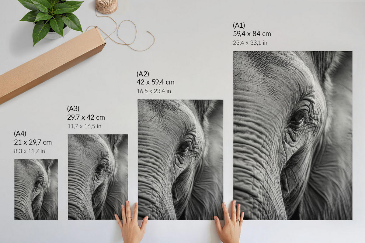 POSTER - 42x59 cm - Visual Echo - Elefantenblick - Schwarz, Textil (42/59/0.1cm) - TULUP