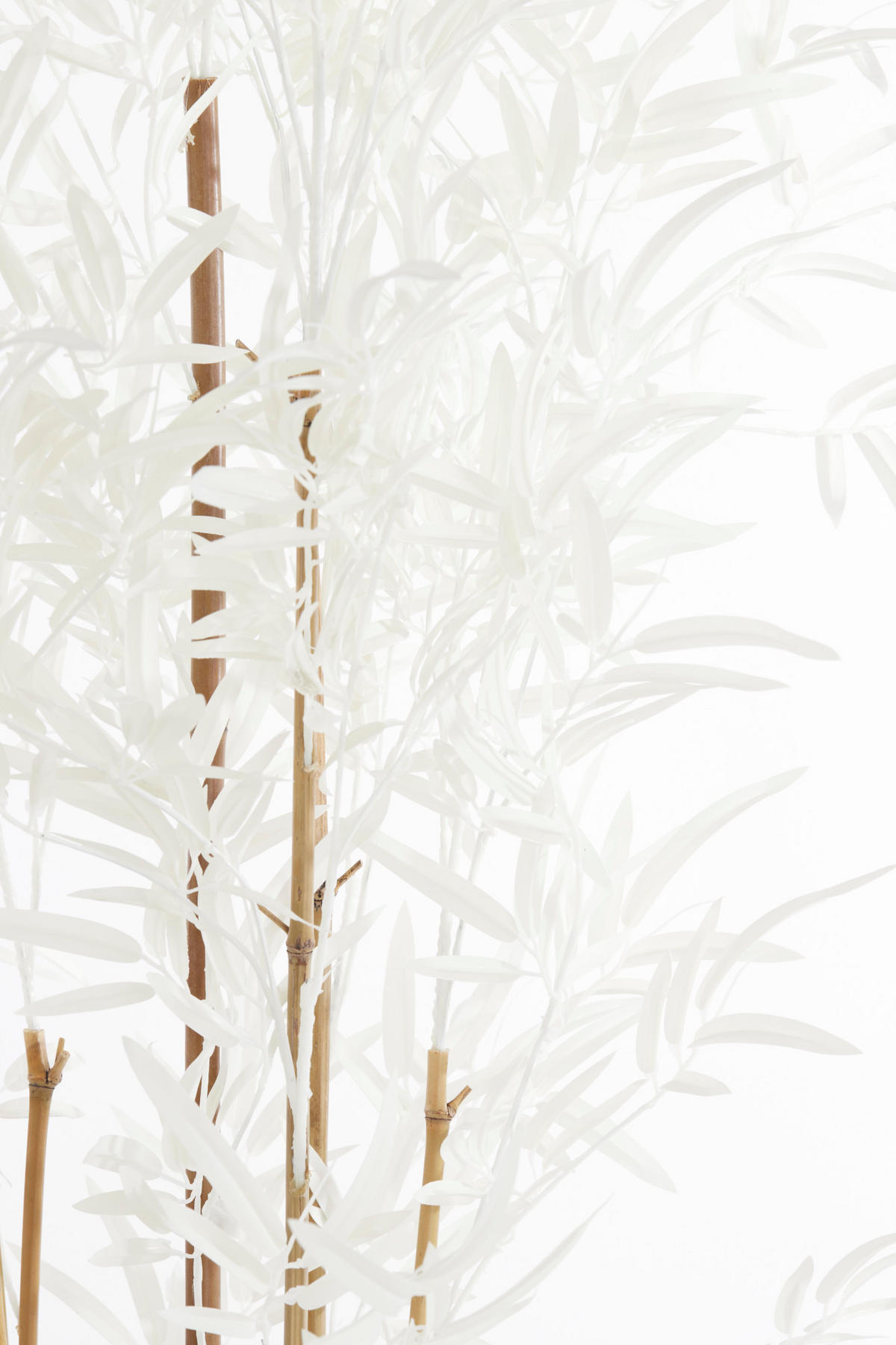 TOPF Bambus Braun 70/60/180 cm - Braun, Kunststoff (180cm) - Light & Living