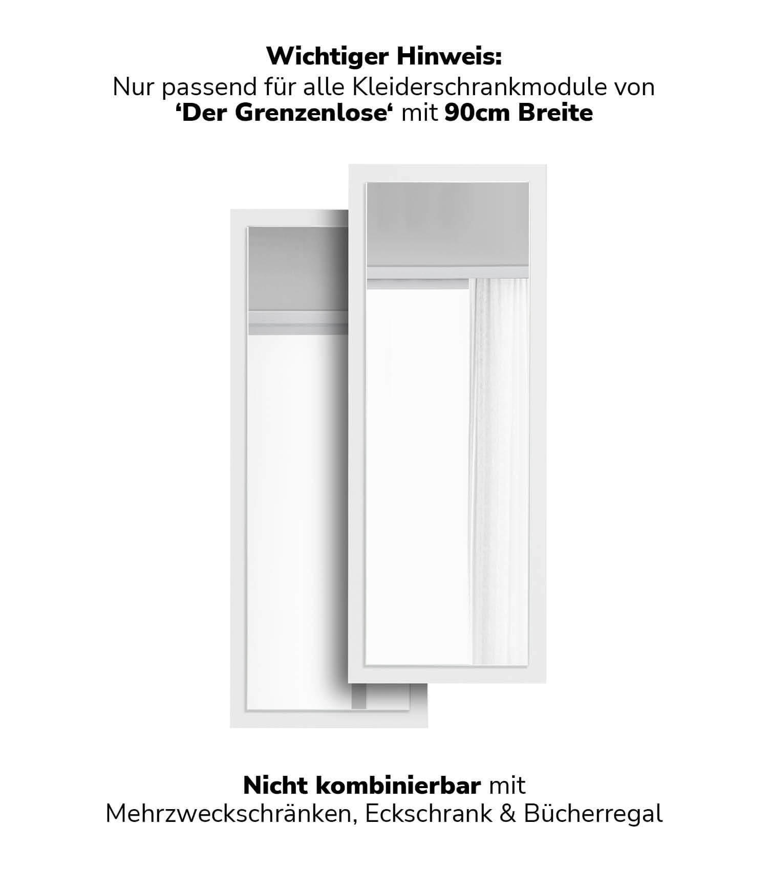 SCHRANKTÜR mit Spiegel Die Verspiegelte - Weiß, Holzwerkstoff (43/112/1.5cm) - Mokebo