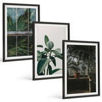 BILDER SET 3er Set - 40x60 cm Schwarzer Rahmen - Grüne Blätter an der Fensterpflanze - Schwarz, Kunststoff (40/60cm) - TULUP