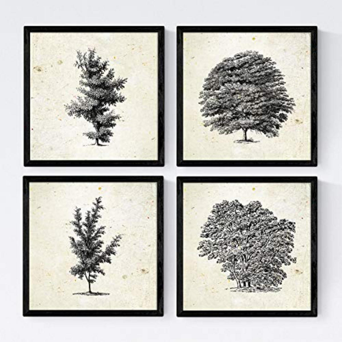 POSTER Set mit 4 Bädern Bäume variierten Jahrgang Hintergrund 30x30 cm Rahmenlos - Klar, Papier (30/3cm) - Nacnic