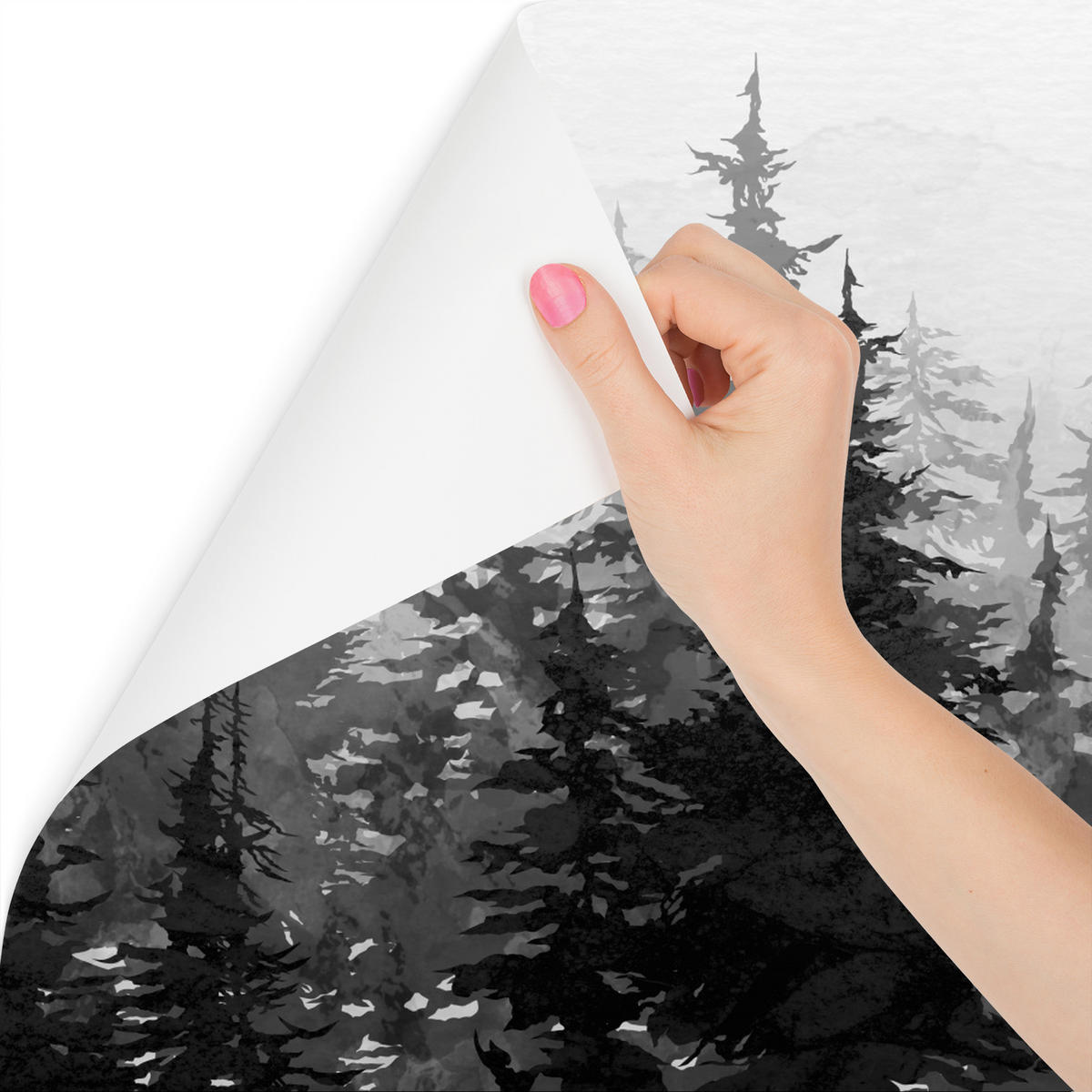FOTOTAPETE Schwarz-Weiß WALD Bäume Natur 360x240cm - Schwarz/Weiß, Papier (360/240cm) - Muralo