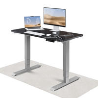 SCHREIBTISCH Elektrisch Höhenverstellbarer HomePro 120x60cm Grau/Schwarz mit Memory-Funktion, Anti-Kollisions Technologie - Schwarz/Grau, Holzwerkstoff (60/120/62cm) - Desktronic