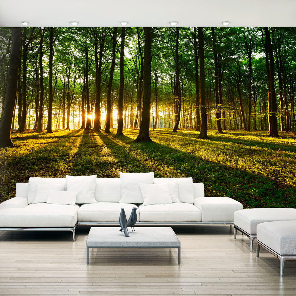 VLIESTAPETE Grün 500/280 cm - Braun/Grün, Textil (500/1cm) - KUNSTLOFT